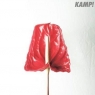 Kamp! - Kamp! Kamp!