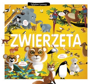 Zwierzęta