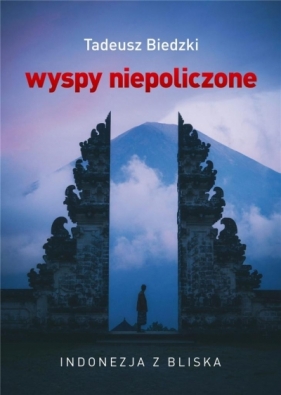 Wyspy niepoliczone - Tadeusz Biedzki