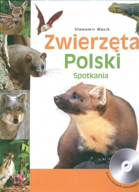 Zwierzęta Polski - Wąsik Sławomir