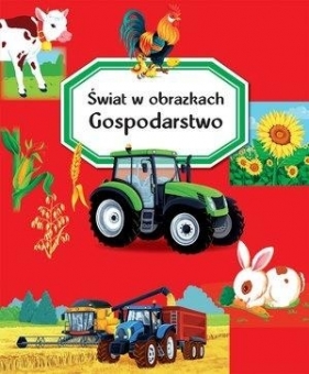 Świat w obrazkach. Gospodarstwo - Emilie Beaumont, Marie-Renée Guilloret