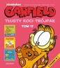 Garfield. Tłusty koci trójpak. Tom 17 - Jim Davis