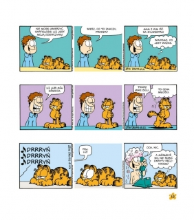 Garfield. Tłusty koci trójpak. Tom 17 - Jim Davis