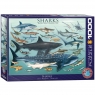  Puzzle 1000 Sharks 6000-007910+