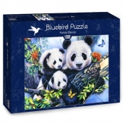 Bluebird Puzzle 1000: Rodzinka Pand (70079)
