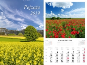 Kalendarz 2019 wieloplanszowy Pejzaże dwustronny - Marek Jurkowlaniec