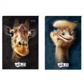 Notes Beniamin WILD A6 96k. krata (609579)