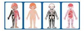 Puzzle magnetyczne - Ciało człowieka, 108 el.