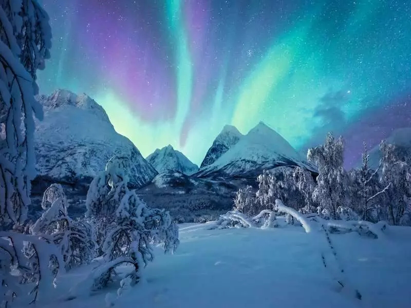<img src='https://webimage.pl/pics/798/8/d4005555008026.png'>