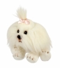 Pies Shih Tzu