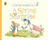 Peter Rabbit Tales A Spring Surprise