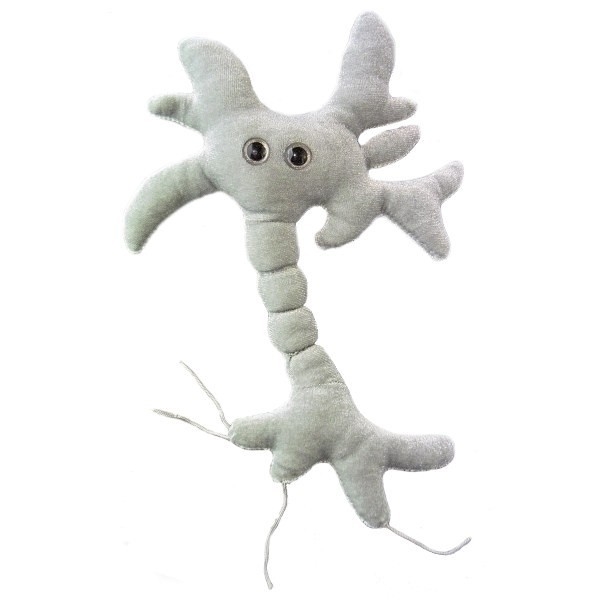 GIANTMICROBES Komórka Mózgowa Neuron