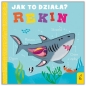 Jak to działa. Rekin - Molly Littleboy, David Semple