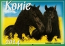 Kalendarz 2014 WL 10 Konie