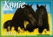 Kalendarz 2014 WL 10 Konie - <br />