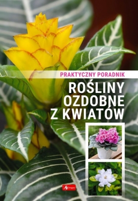 Rośliny ozdobne z kwiatów. Poradnik praktyczny - Opracowanie zbiorowe