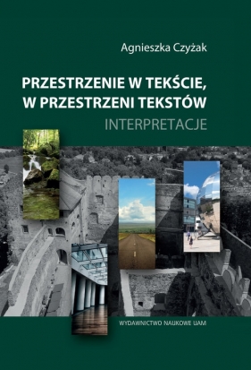 Przestrzenie w tekście, w przestrzeni tekstów - Agnieszka Czyżak