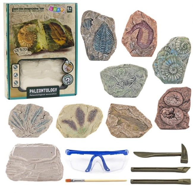 <img src='https://webimage.pl/pics/800/7/d5905991087069.jpg' style='height:440px' /> Zestaw paleontologiczny wykopaliska narzdzia