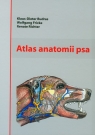 Atlas anatomii psa Budras Klaus-Dieter, Fricke Wolfgang, Richter Renate