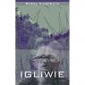 Igliwie czyli niespieszne rozmowy  nie tylko o literaturze Rafał Kasprzyk