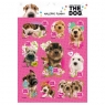 Nalepki Funny The Dog 25 sztuk mix