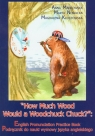 How Much Wood Would a Woodchuck Chuck + CD Podręcznik do nauki wymowy Mańkowska Anna, Nowacka Marta, Kłoczowska Magdalena