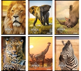 Zeszyt A5 w linie 54 kartki Africa 10 sztuk
