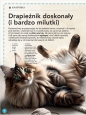 Wspaniała księga kotów - García Nieto Eliseo