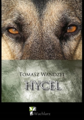 Hycel - Tomasz Wandzel