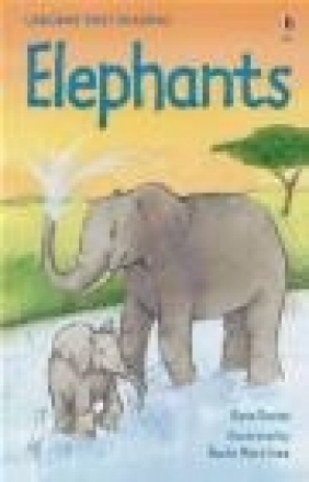 Elephants Kate Davies