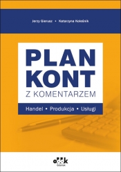Plan kont z komentarzem Handel, produkcja, usługi - Jerzy Gierusz, Kolesnik Katarzyna