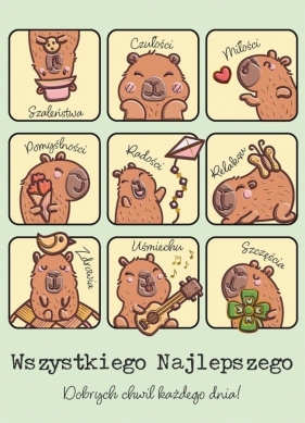 Karnet B6 Kapibary z insta