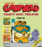 Garfield. Tłusty koci trójpak. Tom 18 - Jim Davis