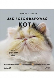 Jak fotografować kota - Joanna Zaleska
