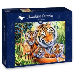 Bluebird Puzzle 1000: Rodzina tygrysów (70080)