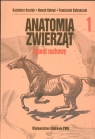 Anatomia zwierząt Tom 1 Aparat ruchowy Krysiak Kazimierz, Kobryń Henryk