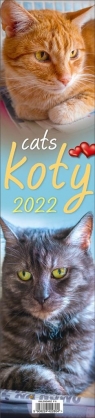 Kalendarz 2022 Paskowy - Koty PP