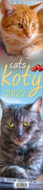 Kalendarz 2022 Paskowy - Koty PP