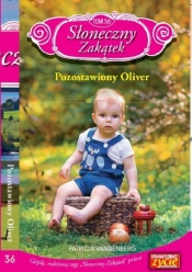 Słoneczny Zakątek Tom 36 - Patricia Vandenberg