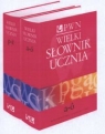 Wielki słownik ucznia Tom 1-2 Pakiet Bańko Mirosław