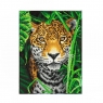 Diamond Dotz - Jaguar Jungle