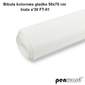 Bibuła kolorowa gładka biała 50x70cm 30 arkuszy