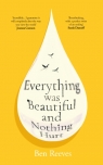 Everything was Beautiful and Nothing Hurt Ben Reeves