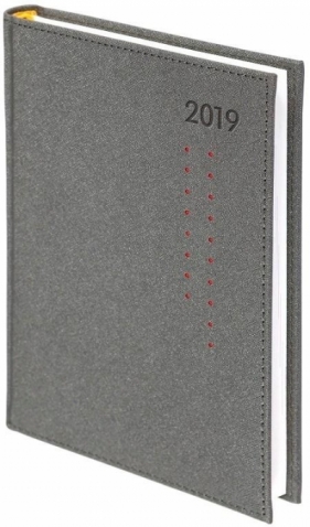 Kalendarz 2019 B5 Dzienny Cross Porto Srebrny