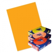 Papier kolorowy Trophee