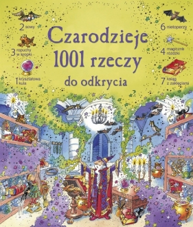 Czarodzieje. 1001 rzeczy do odkrycia - Doherty Gillian