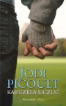 Karuzela uczuć Jodi Picoult