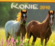 Kalendarz 2010 WL10 Konie rodzinny
