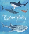 The World of Sharks Becky Thorns, Darcy Dobell