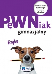 PeWNiak gimnazjalny Fizyka - Kabzińska Katarzyna, Włodarczyk Marta